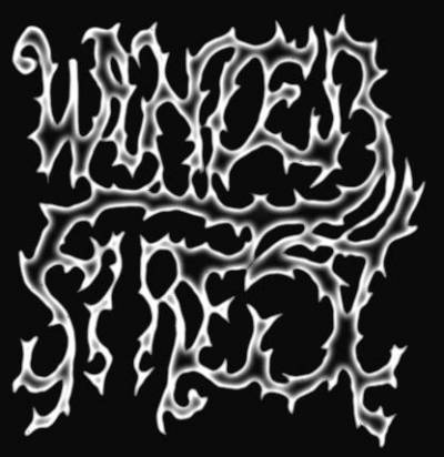 logo Winter Forest